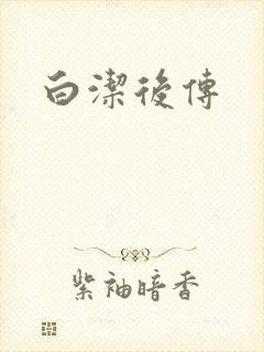 白洁后传