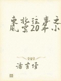 东北往事之黑道风云20年小说