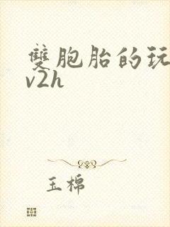 双胞胎的玩具1v2h