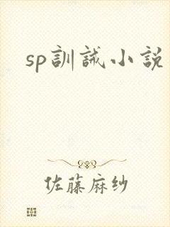 sp训诫小说