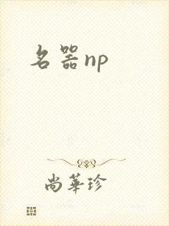 名器np