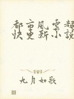 都市风云超前超快更新小说