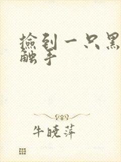 捡到一只黑心小触手