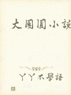 大团圆小说