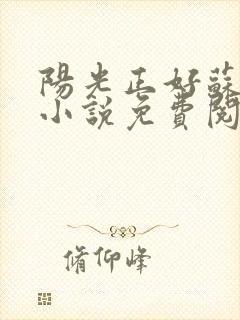 阳光正好苏玥玥小说免费阅读