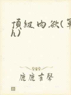 顶级肉欲(军高h)