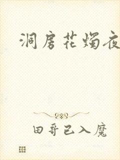 《洞房花烛夜小说》小说封面