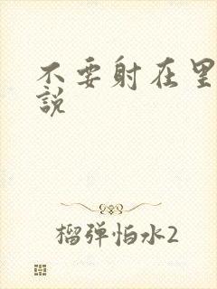 不要射在里面小说