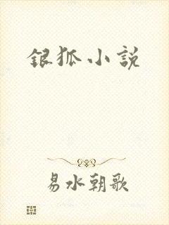 银狐小说