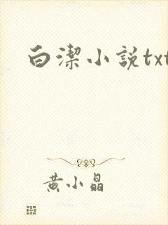 白洁小说txt