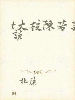 t大校陈若芸小说