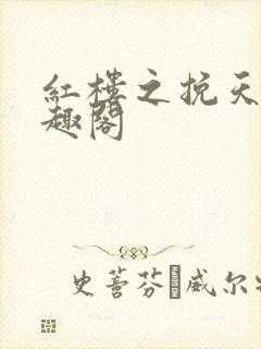 红楼之挽天倾笔趣阁