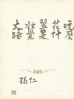 大壮翠花晚上不睡觉是什么电视剧