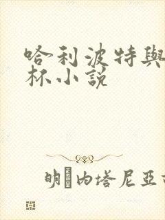 哈利波特与火焰杯小说