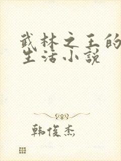 武林之王的退隐生活小说