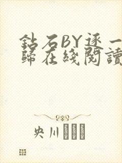 钻石BY逐一而归在线阅读