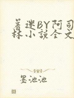 着迷BY阿司匹林小说全文免费阅读