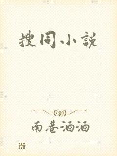 搜同小说