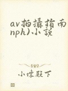 av拍摄指南(nph)小说