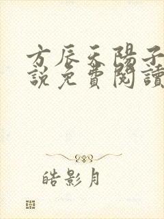 方辰天阳子的小说免费阅读封面