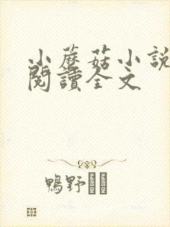 小蘑菇小说免费阅读全文