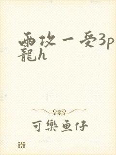 两攻一受3p双龙h