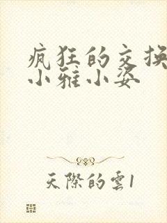 疯狂的交换小静小雅小姿