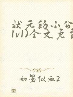 状元的小公主(1v1)全文免费阅读