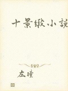 十景缎小说