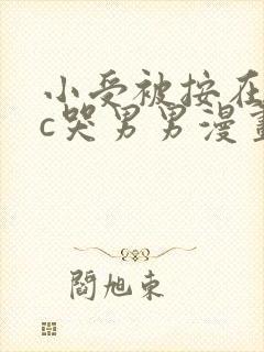 小受被按在墙上c哭男男漫画封面