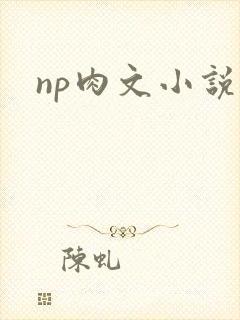 np肉文小说
