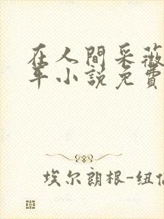 在人间采薇陆三平小说免费阅读