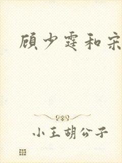 顾少霆和宋斯曼