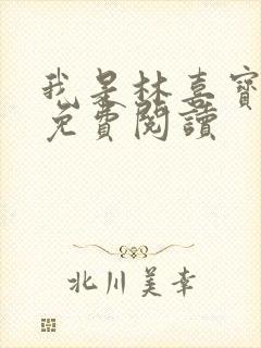 我是林喜宝小说免费阅读