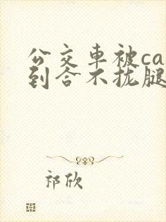 公交车被cao到合不拢腿视频