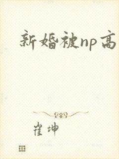 新婚被np高h