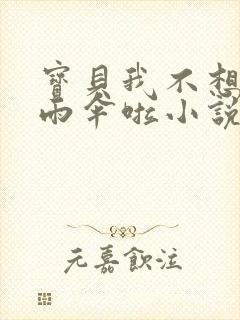 宝贝我不想带小雨伞啦小说