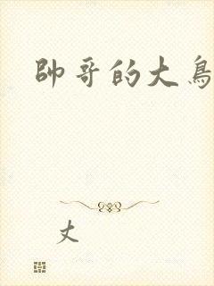 帅哥的大鸟