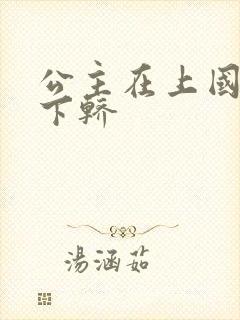 公主在上国师请下轿