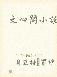 文心阁小说