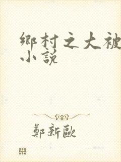 乡村之大被同眠小说封面