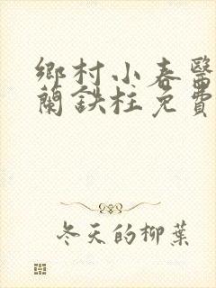 乡村小春医王淑兰铁柱免费阅读全文