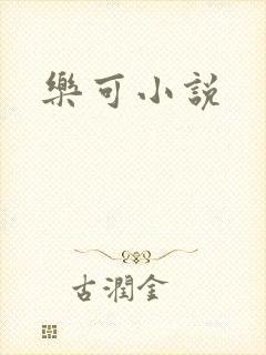乐可小说