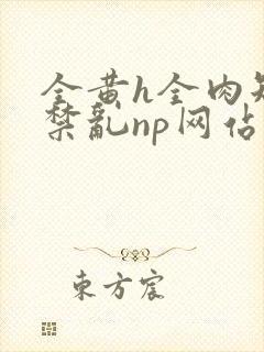 全黄h全肉短篇禁乱np网站