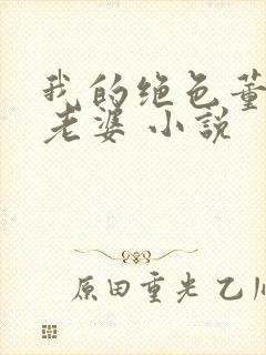 我的绝色董事长老婆 小说