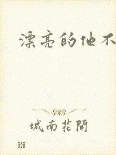 漂亮的他不说话