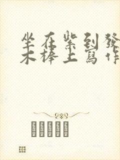 坐在紫到发黑的木棒上写作业