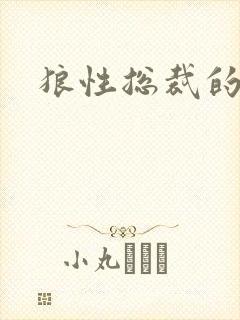 狼性总裁的尤物