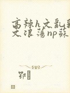 高辣h文乱乳h文浪荡np苏夏