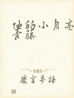 他的小月亮by青藤